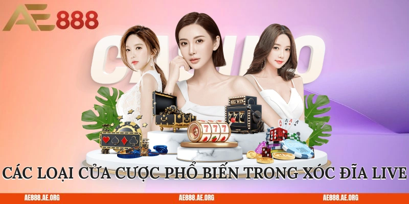 Các loại cửa cược phổ biến trong xóc đĩa live