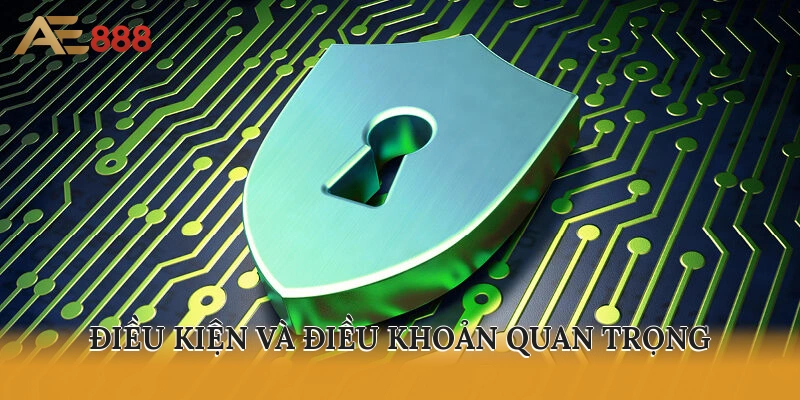 Các quy định điều kiện và điều khoản quan trọng